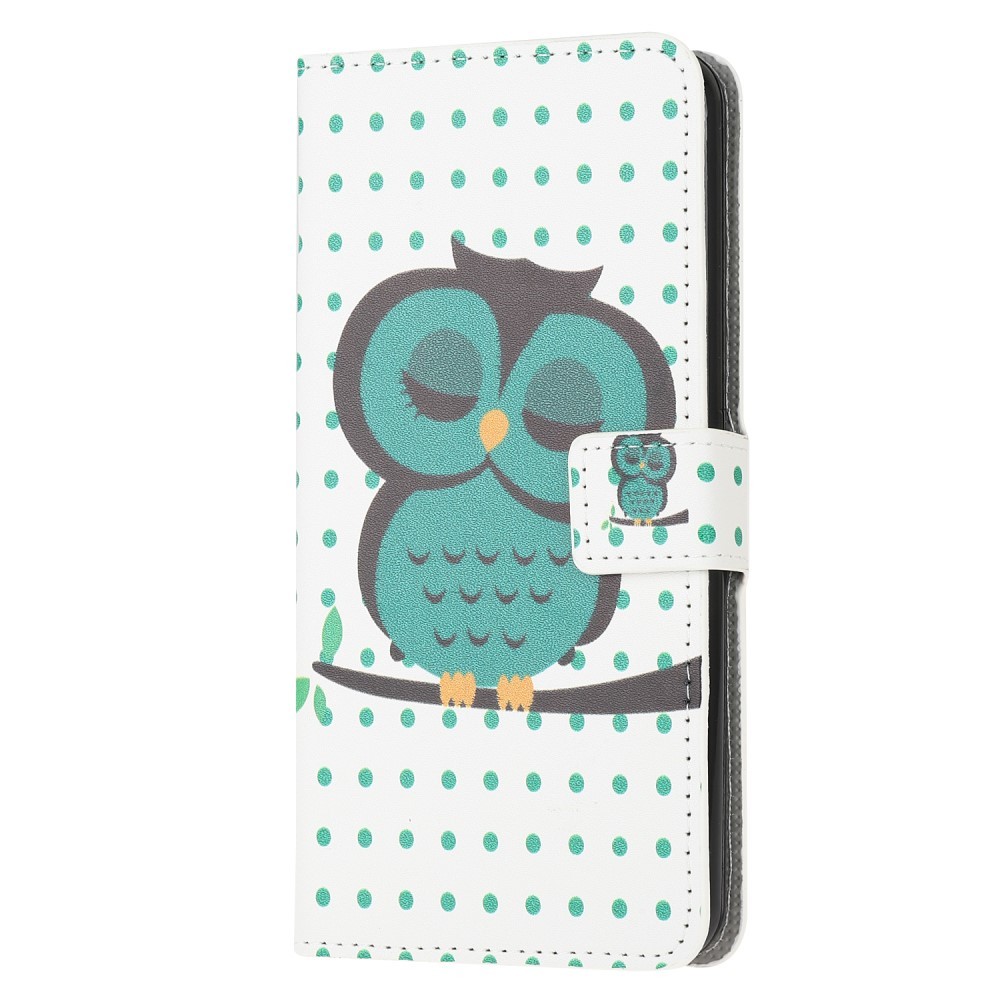 Kryt pro iPhone 13 Mini „Sleeping Owl“